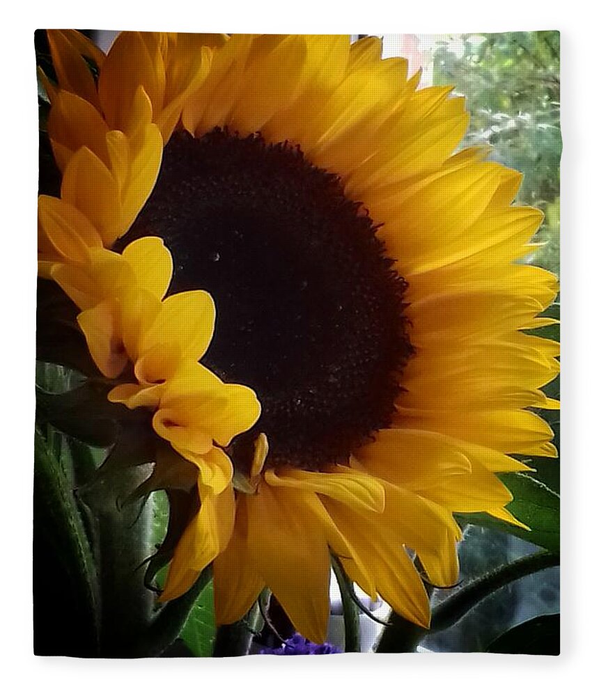Sunflowers Fleece Blanket featuring the photograph Sunflower in my Garden Window 2 by Joan-Violet Stretch