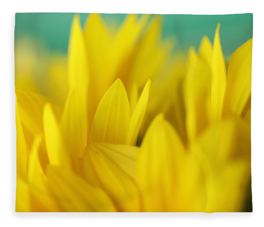 Sunflower Fleece Blanket featuring the photograph Sunflowers 695 by Michael Fryd