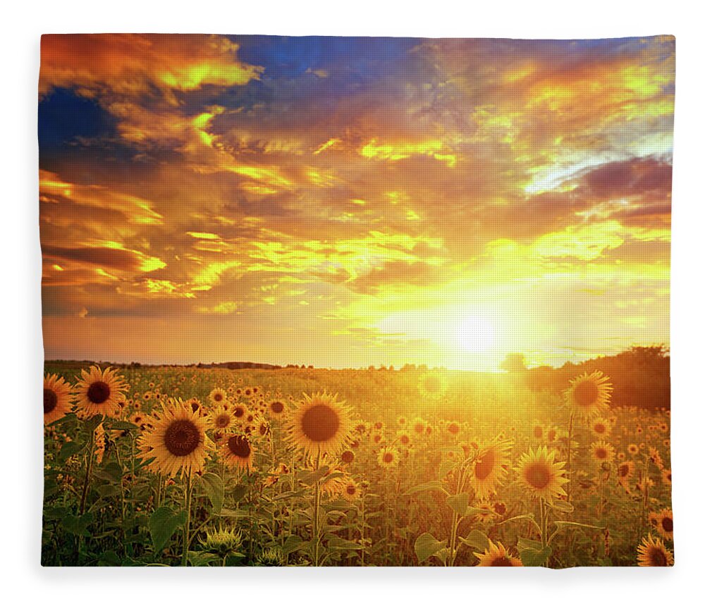 Scenics Fleece Blanket featuring the photograph Sunflowers Field And Sunset Sky by Avalon studio