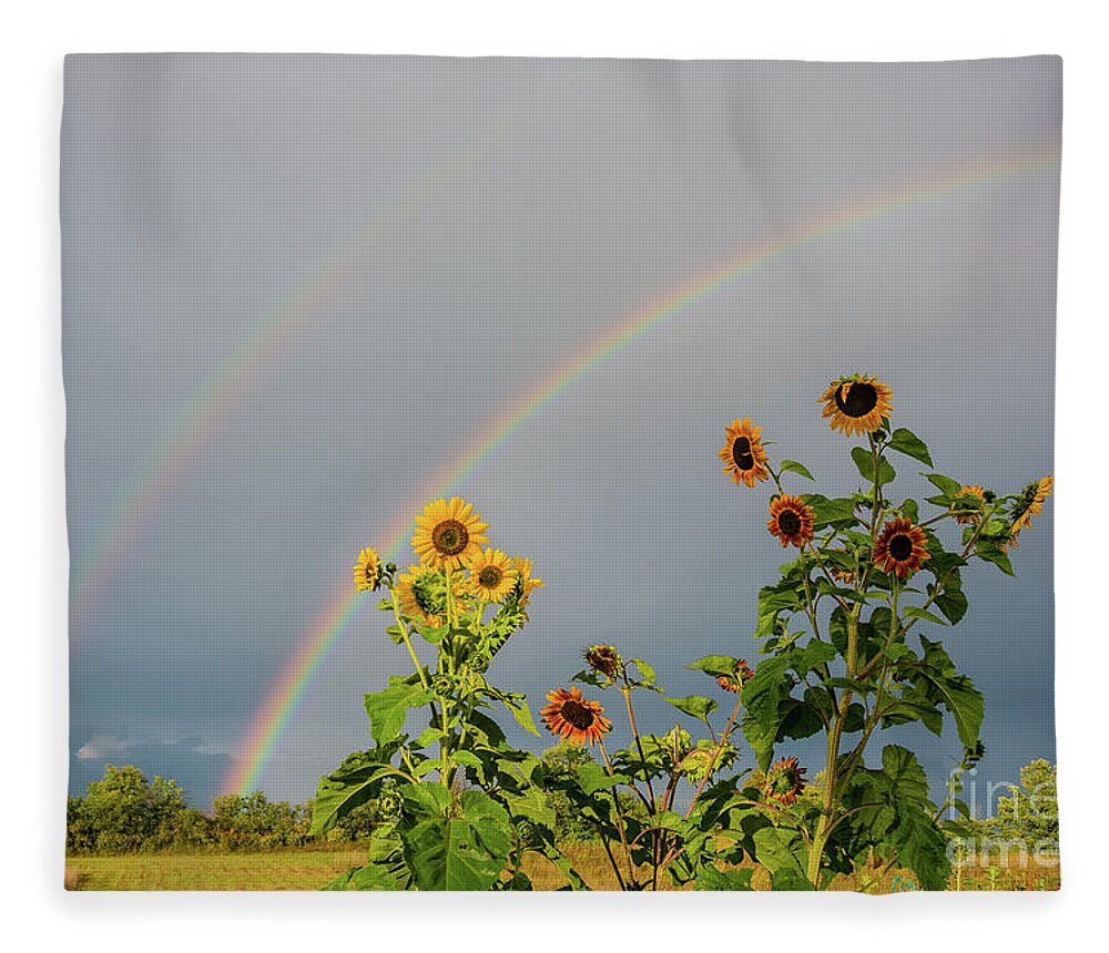 Cheryl Baxter Photography Fleece Blanket featuring the photograph Sunflowers Under the Rainbow by Cheryl Baxter