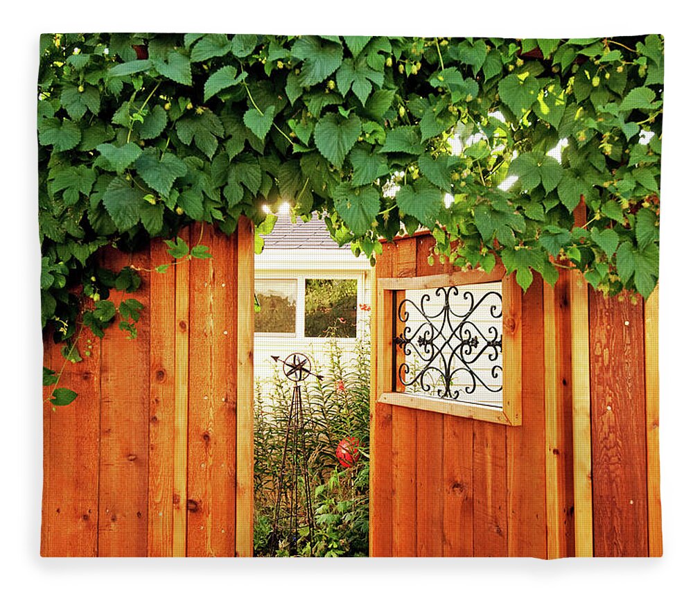 Cedar Tree Fleece Blanket featuring the photograph Sunlight Filters Through A Hops Plant by Wildroze