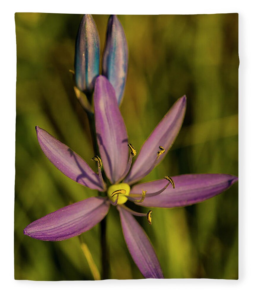 Flower Fleece Blanket featuring the photograph Sunlit Camas Lily by Doug Scrima