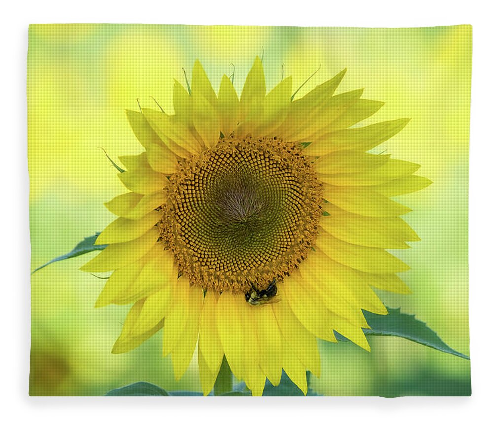 Sunflower Fleece Blanket featuring the photograph Sunny Sunflower by Mary Ann Artz
