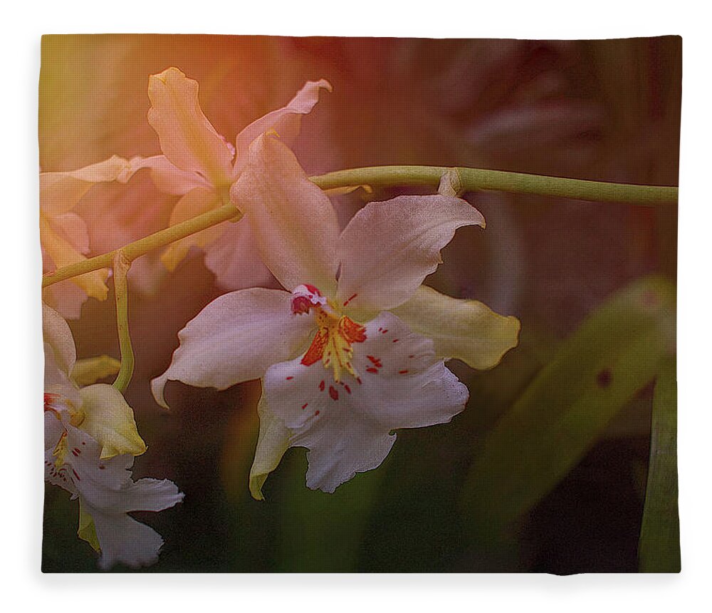 Orchid Fleece Blanket featuring the photograph Sunrise Orchid by Richard Goldman