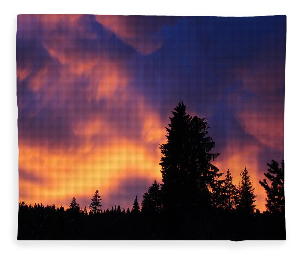 Sunset Fleece Blanket featuring the photograph Sunset and trees by Jean Evans
