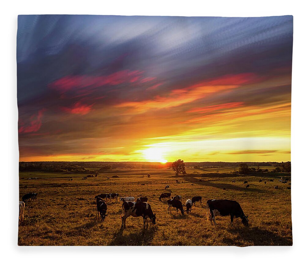 Matt Molloy Fleece Blanket featuring the photograph Sunset Grazers by Matt Molloy