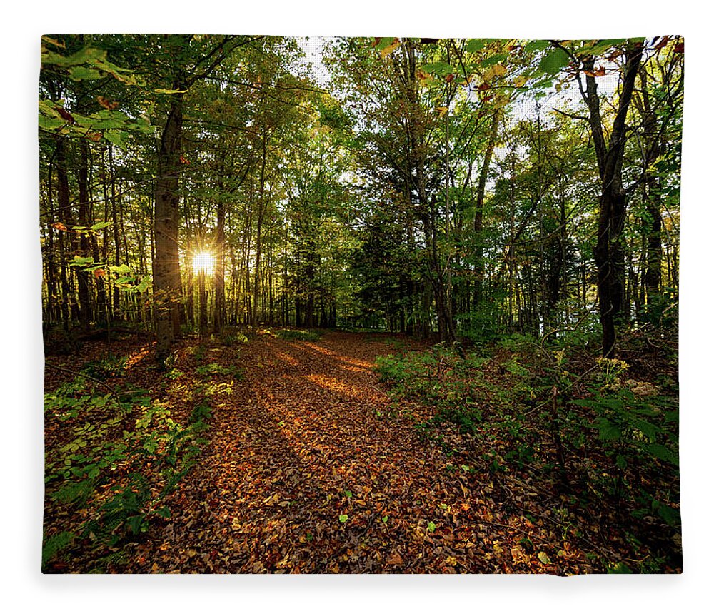 Sunset Fleece Blanket featuring the photograph Sunset in the forrest #1381 by Michael Fryd