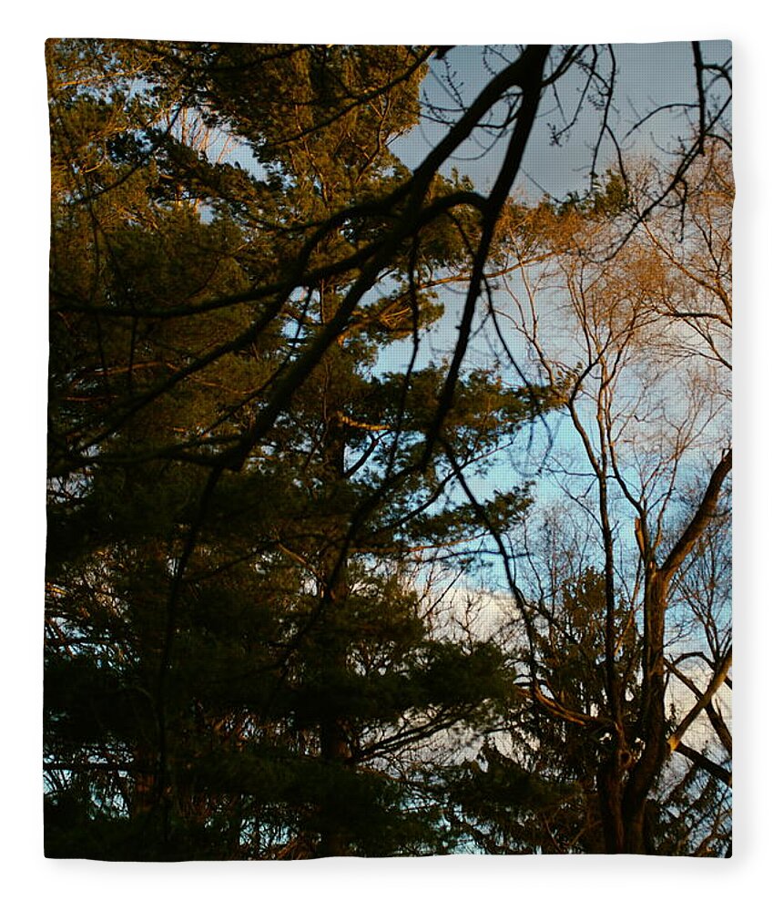 Nature Fleece Blanket featuring the photograph Sunset Through the Branches by Frank J Casella