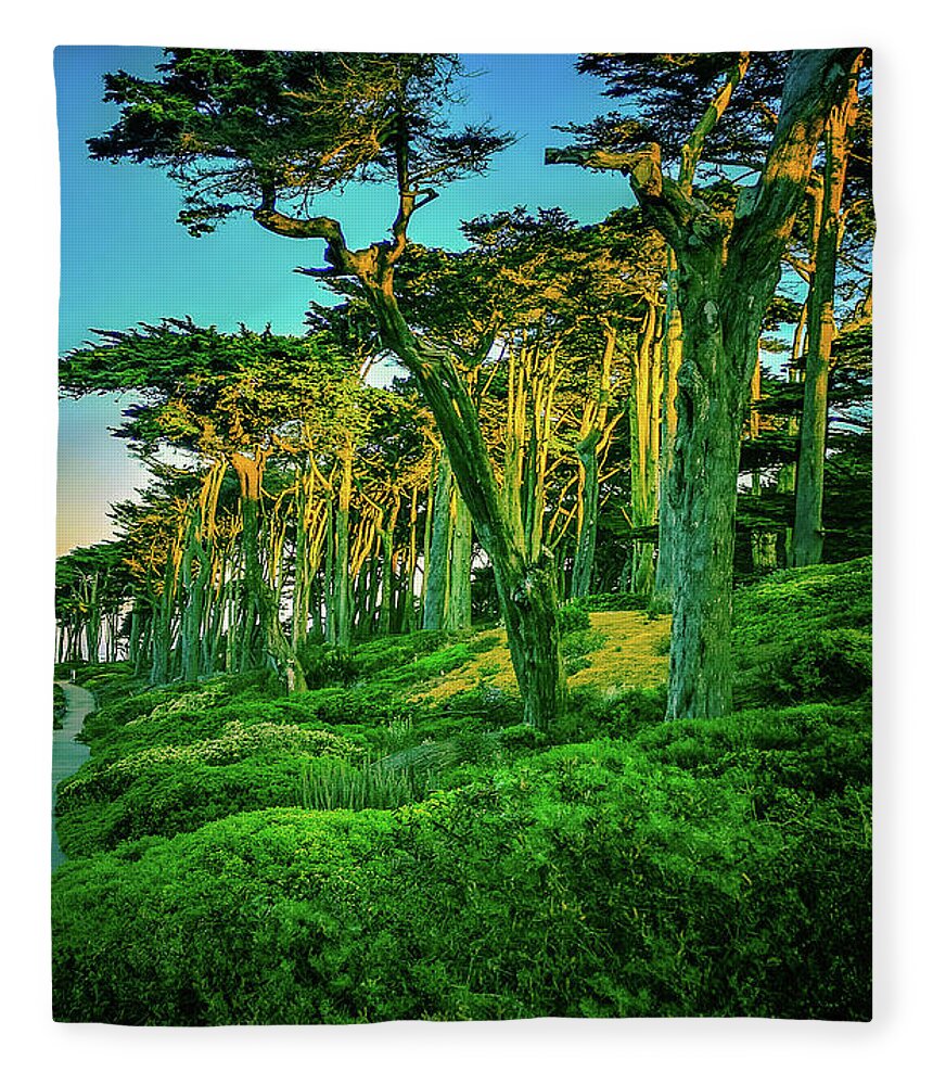 Sutro Fleece Blanket featuring the photograph Sutro Trees in Morning Light by James Canning