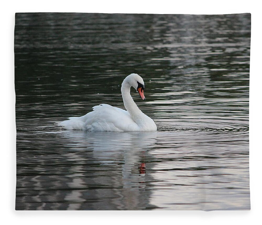 Swan Fleece Blanket featuring the photograph Swan in The Serpentine by Laura Smith