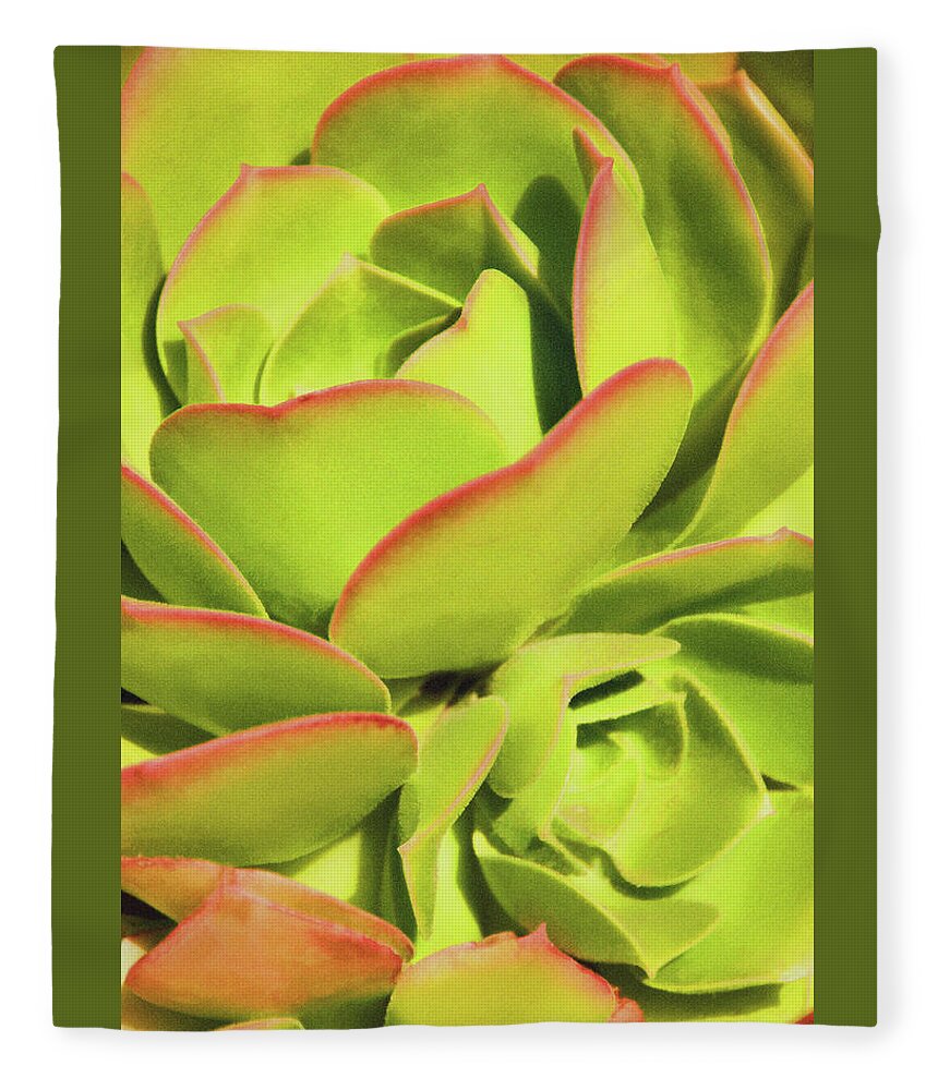 Hen And Chicks Fleece Blanket featuring the photograph Sweet Succulents I by Leda Robertson