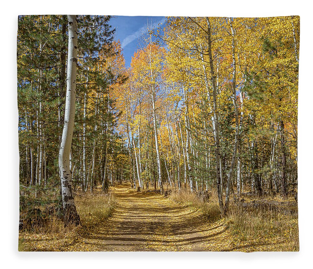 Arizona Fleece Blanket featuring the photograph Take Me Home Country Road by TL Wilson Photography by Teresa Wilson