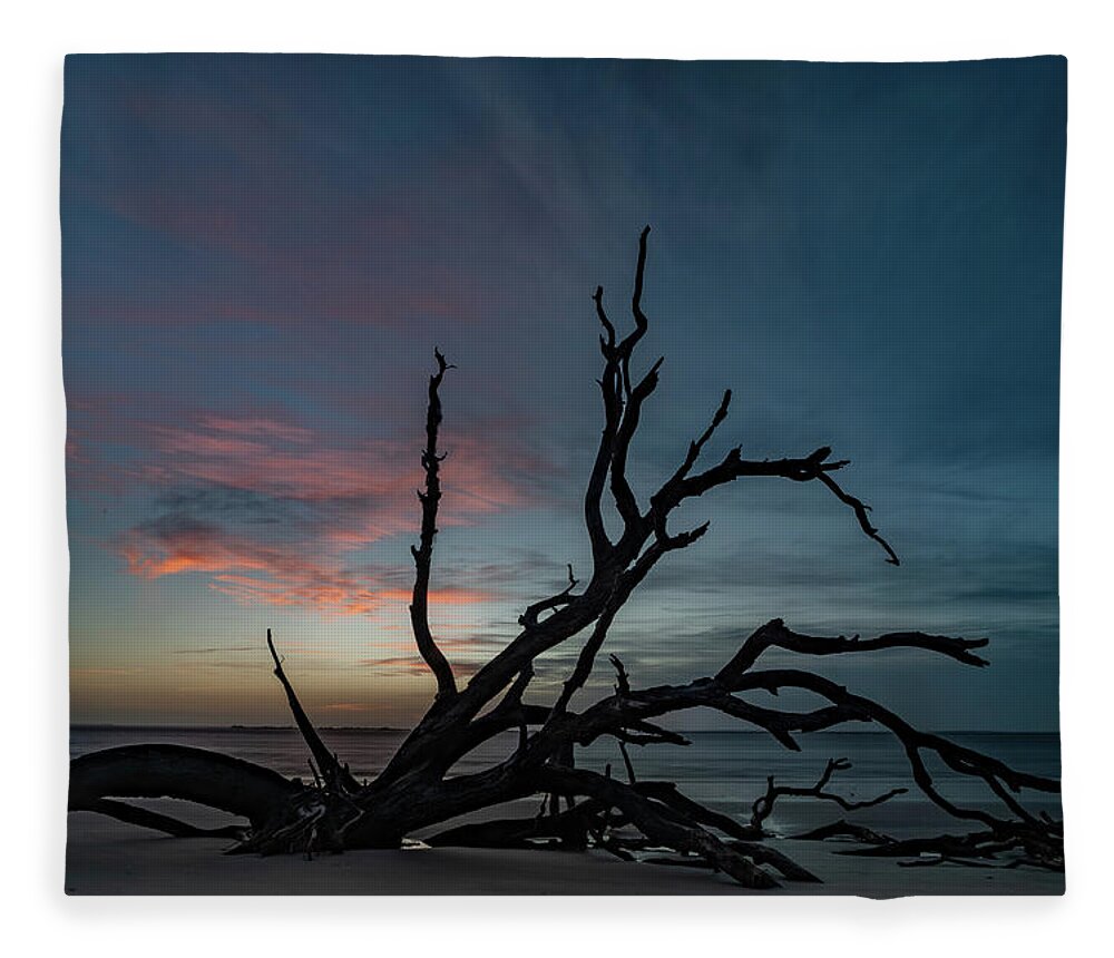 Driftwood Fleece Blanket featuring the photograph Taking a Rest by Joye Ardyn Durham