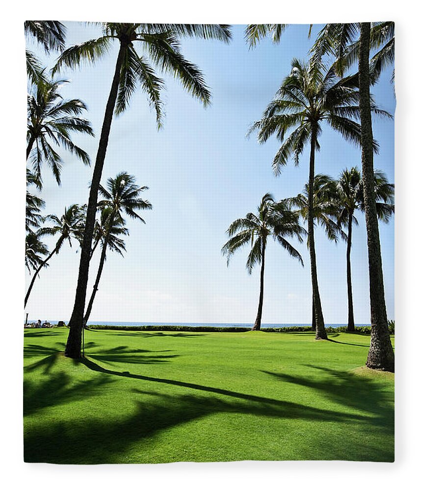 Tropical Tree Fleece Blanket featuring the photograph Tall Coconut Palm Trees Spring Break by Akurtz