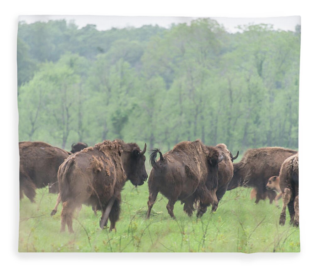 Tall Fleece Blanket featuring the photograph Tallgrass Prairie Reserve Running Buffalo by Bert Peake