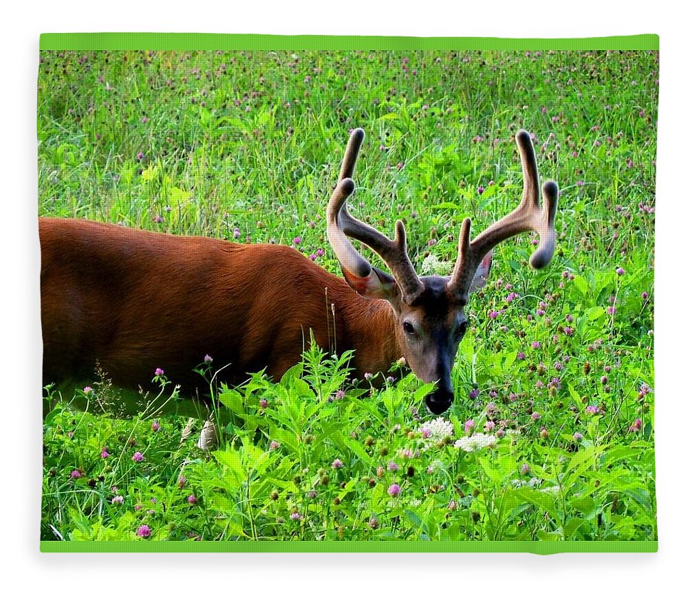  Fleece Blanket featuring the photograph Tennessee's Deer by Lindsey Floyd