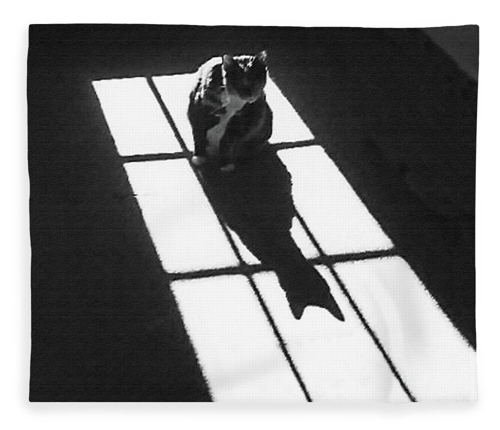 Abstract Fleece Blanket featuring the mixed media The Cat and the Shadow 300 by Sharon Williams Eng