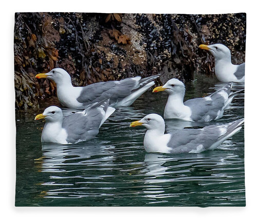 Herring Gulls Fleece Blanket featuring the photograph The Community by Marcy Wielfaert