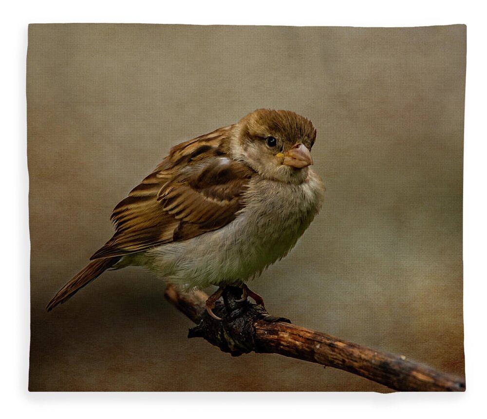 Bird Fleece Blanket featuring the photograph The Fledgeling by Cathy Kovarik