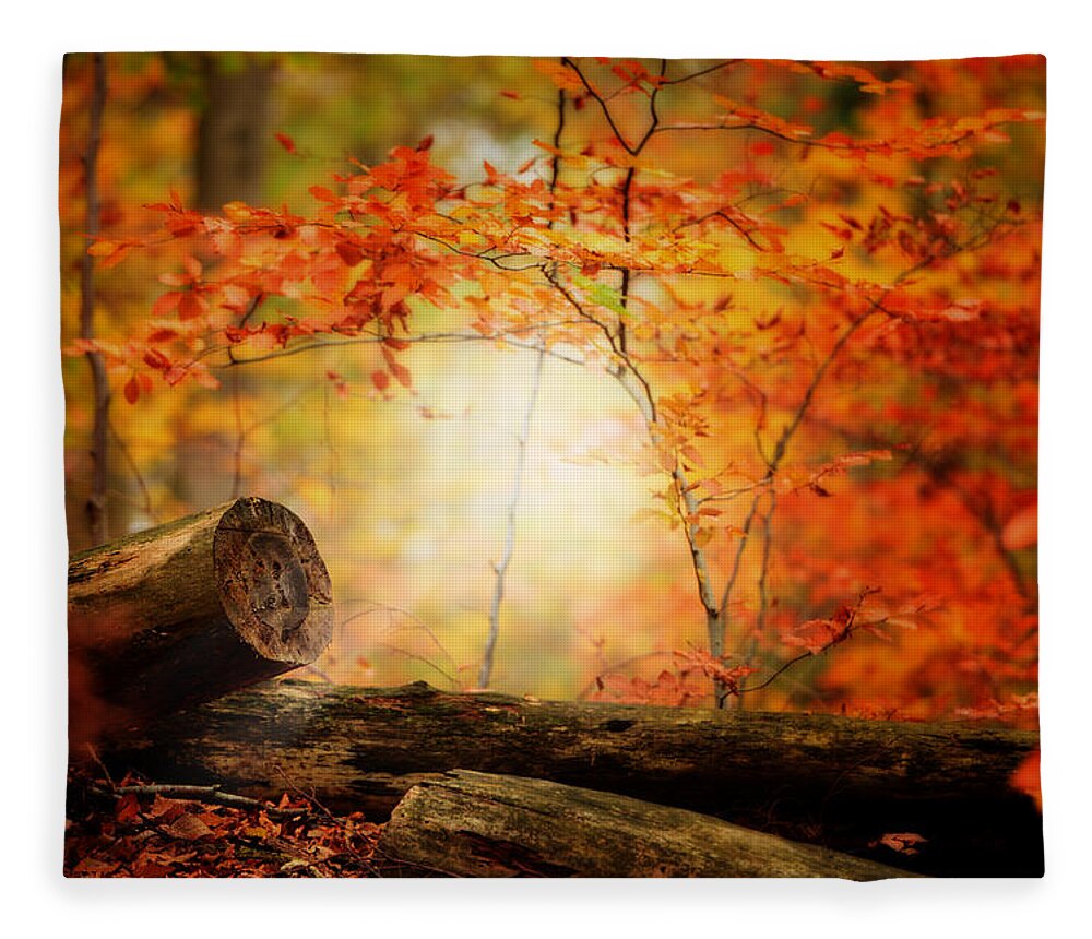 Forest Fleece Blanket featuring the photograph The Foresters by Philippe Sainte-Laudy