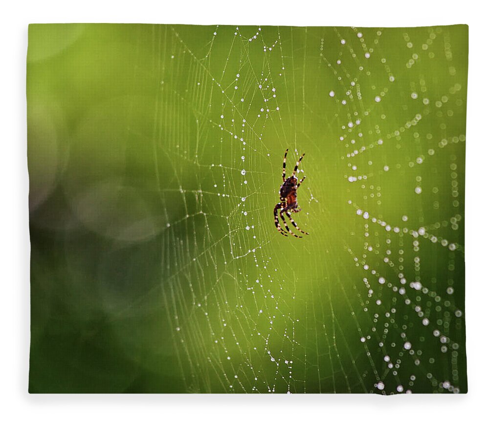 Spider Fleece Blanket featuring the photograph The great architect in the morning light by Tatiana Travelways