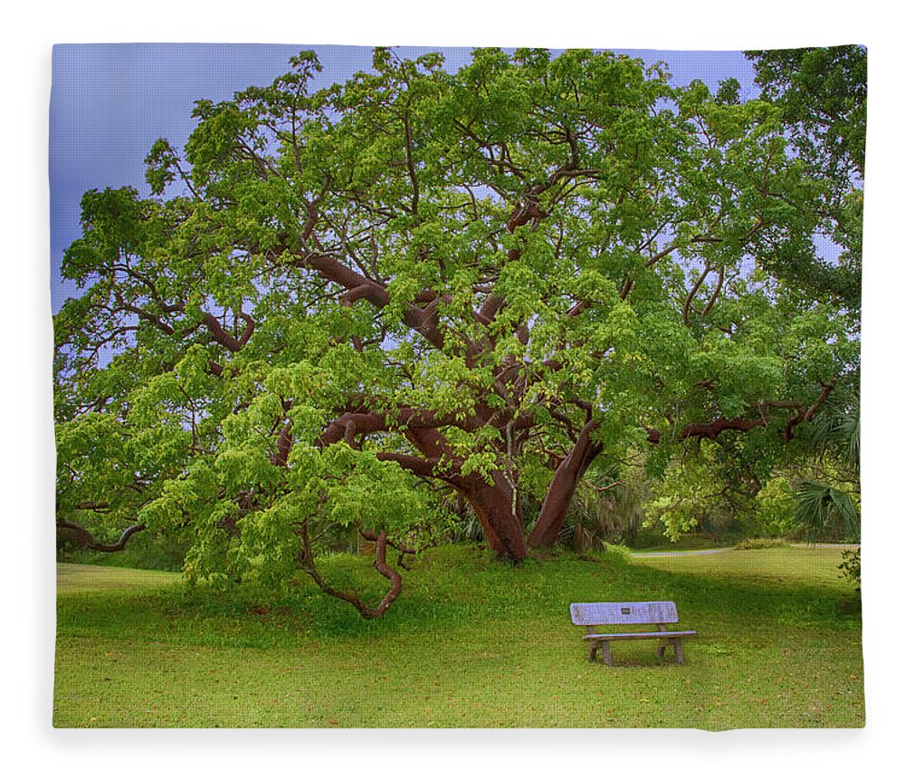 Tree Fleece Blanket featuring the photograph The Gumbo Limbo Tree by Mitch Spence