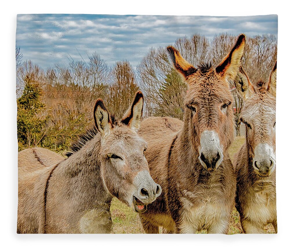Mules Fleece Blanket featuring the photograph The Joke's On Me by Marcy Wielfaert