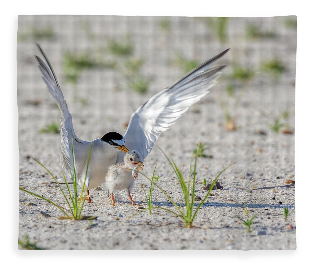 Bird Fleece Blanket featuring the photograph The Littlest Thief 2 by Susan Rissi Tregoning