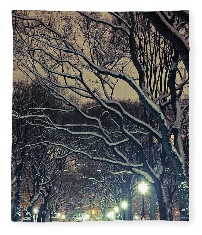 The Mall Fleece Blanket featuring the photograph The Mall Alley In Central Park By Night by Pawel.gaul