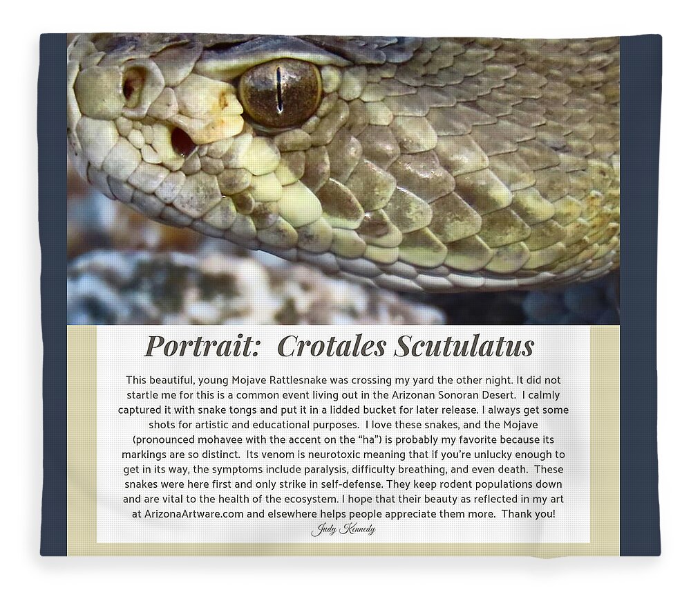 Adage Fleece Blanket featuring the photograph The Necessity of Rattlesnakes by Judy Kennedy