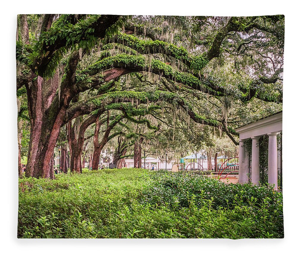 Trees Fleece Blanket featuring the photograph The Oaks at Forsyth by Rebekah Zivicki