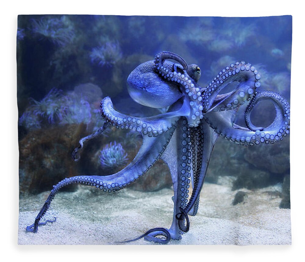 Animals Fleece Blanket featuring the photograph The Octopus by Joachim G Pinkawa