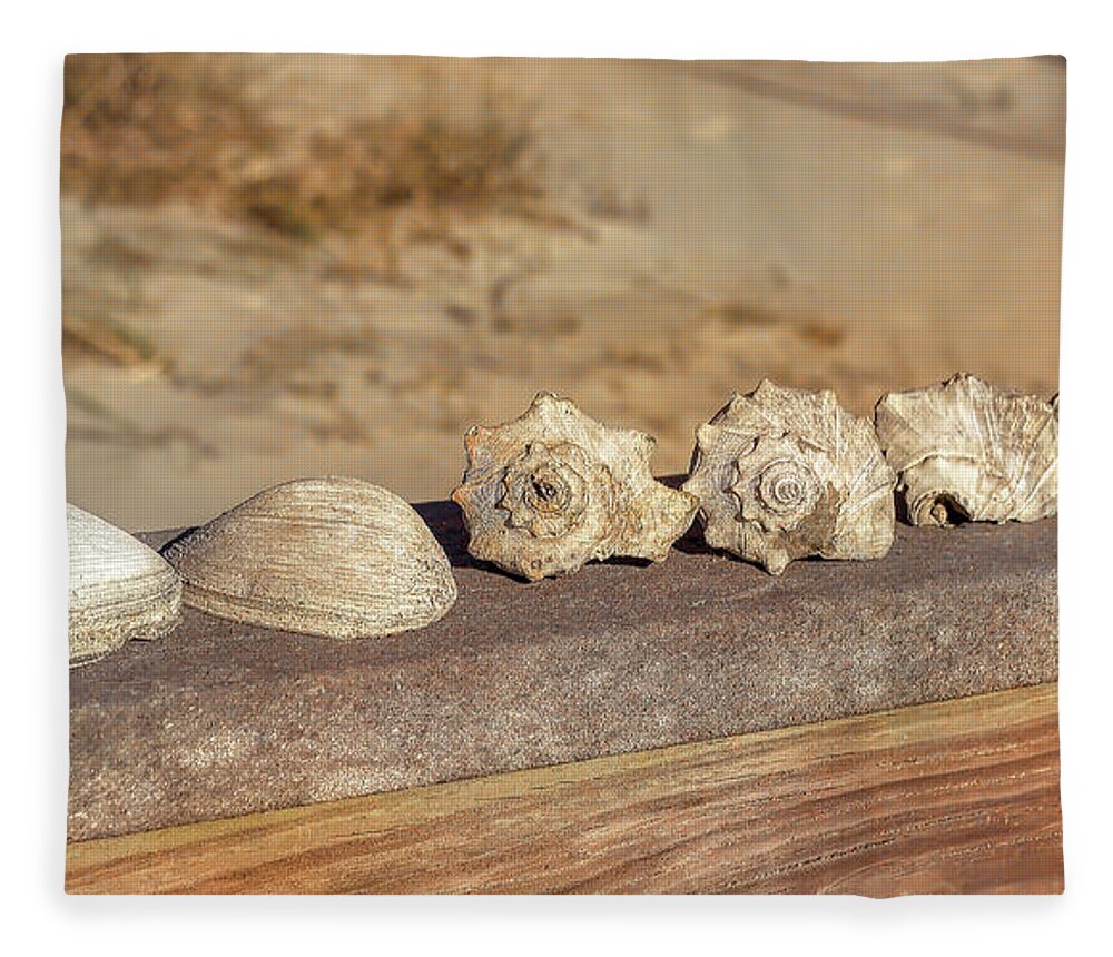 Beach Fleece Blanket featuring the photograph The Shell Collection by Kathy Baccari