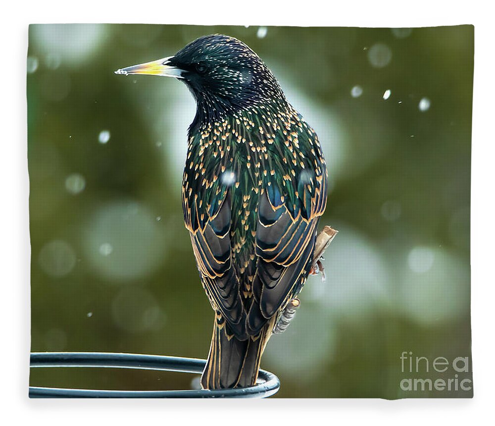 Starling Fleece Blanket featuring the photograph The Starling Bird Portrait by Sandra J's