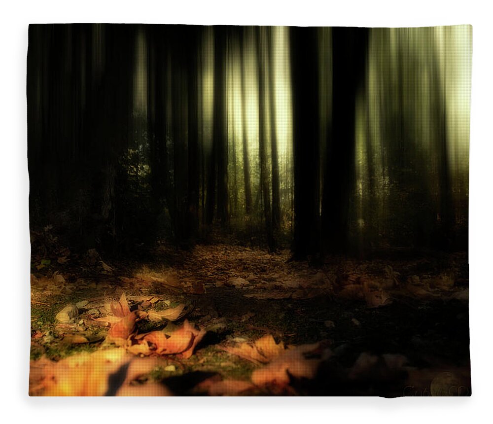  Fleece Blanket featuring the photograph The Time Between by Cybele Moon