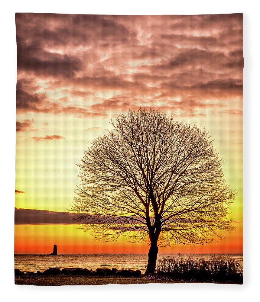 New Hampshire Fleece Blanket featuring the photograph The Tree by Jeff Sinon
