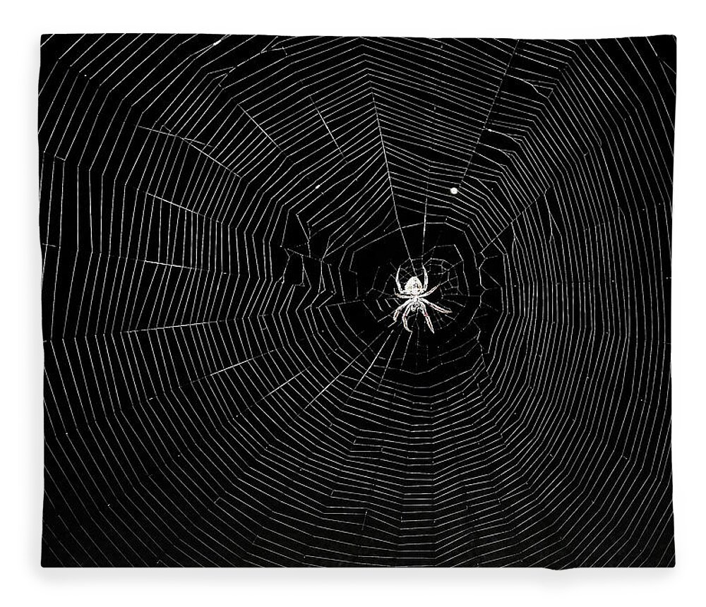 Spider Fleece Blanket featuring the photograph The Web by Jerry Connally