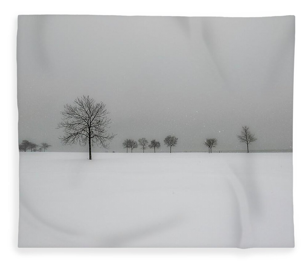 Milwaukee Fleece Blanket featuring the photograph Those Trees Against the Snow by Kristine Hinrichs