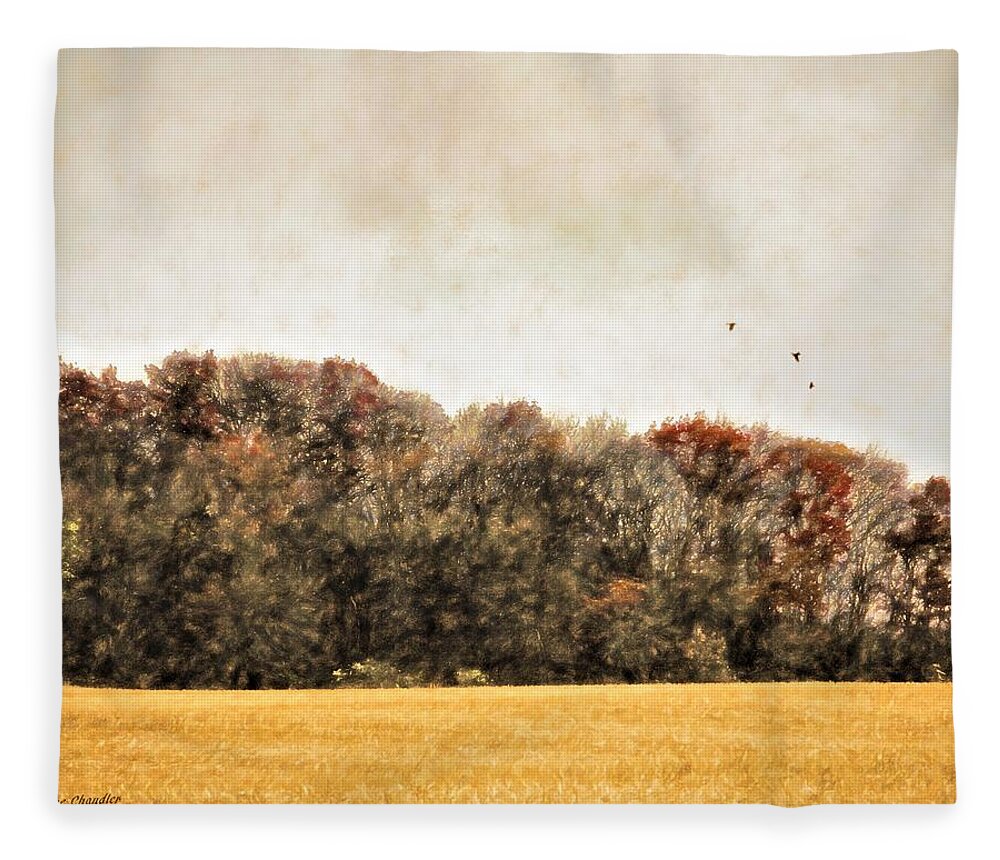 Landscape Fleece Blanket featuring the digital art Three Crows and Golden Field by Diane Chandler