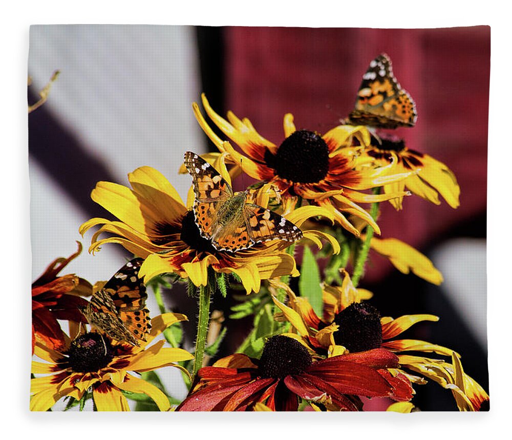 Butterfly Fleece Blanket featuring the photograph Three in a Row by Alana Thrower