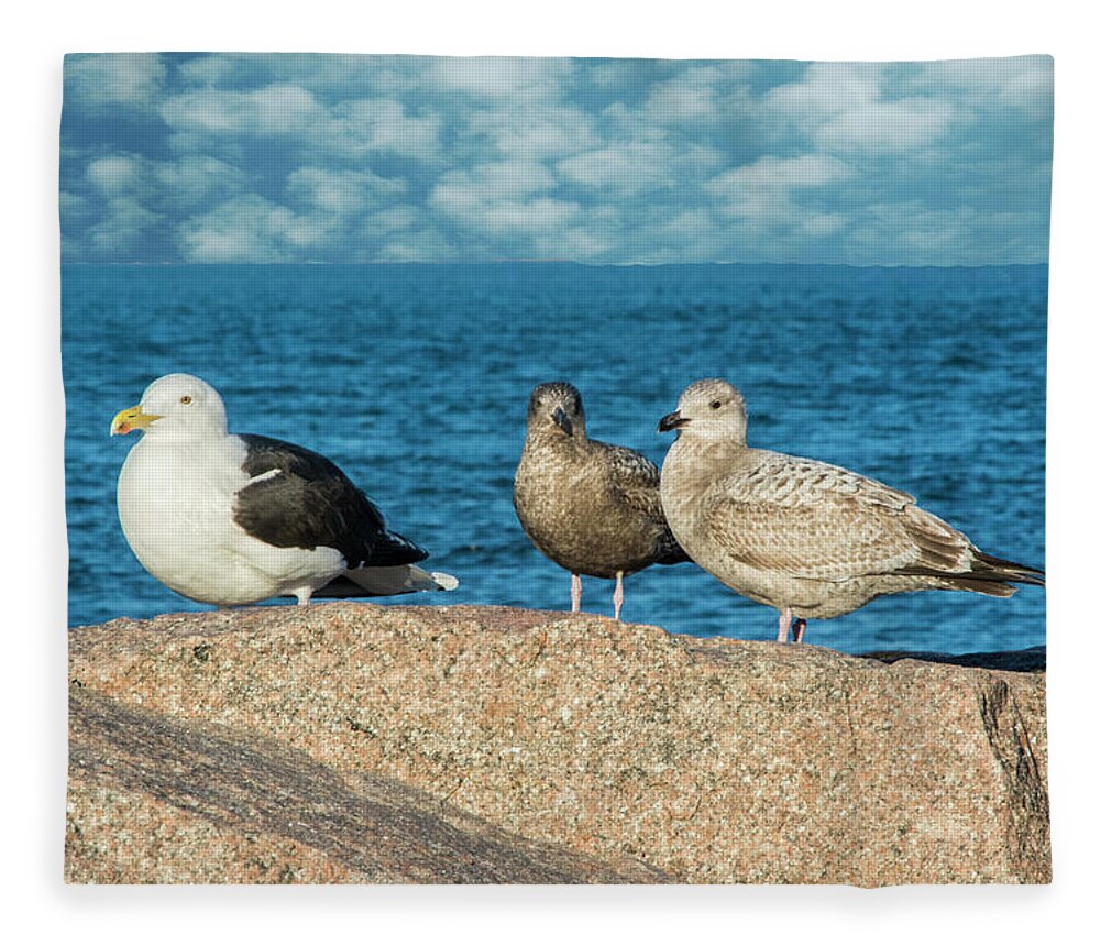 Gulls Fleece Blanket featuring the photograph Three On The Rocks by Cathy Kovarik