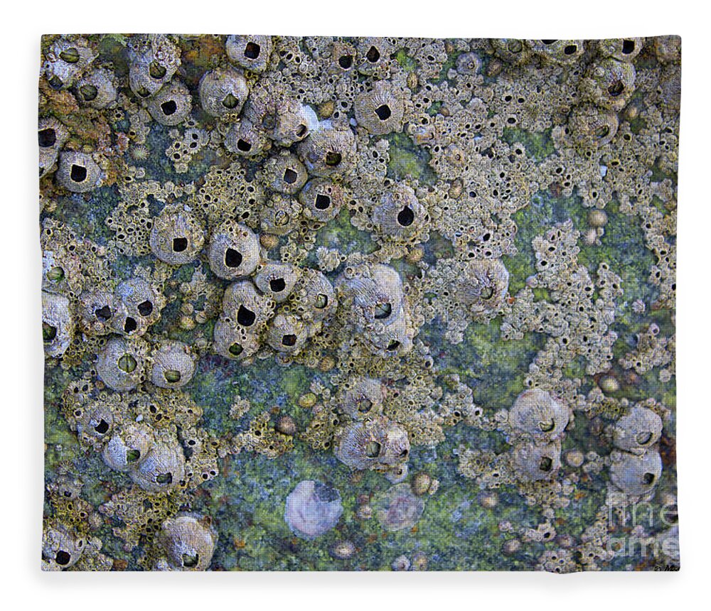 Intertidal Zone Fleece Blanket featuring the photograph Tidal Pool 4 by Megan Dirsa-DuBois