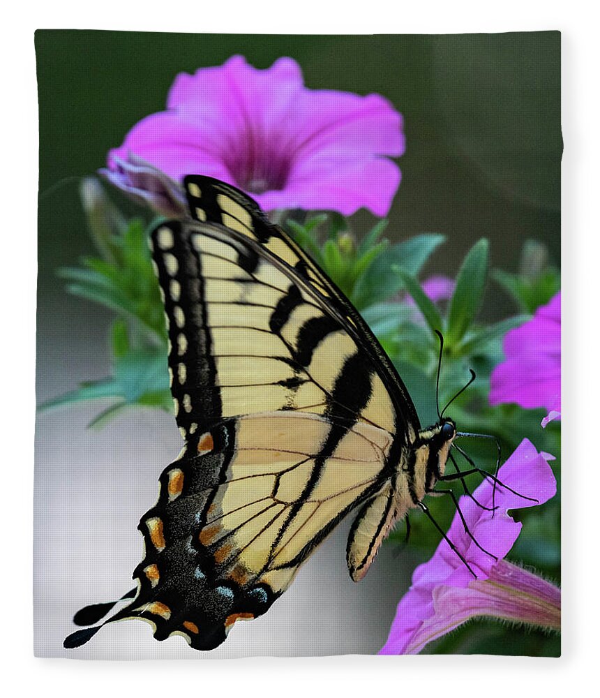 Eastern Tiger Swallowtail Fleece Blanket featuring the photograph Tiger Beauty by Jody Partin