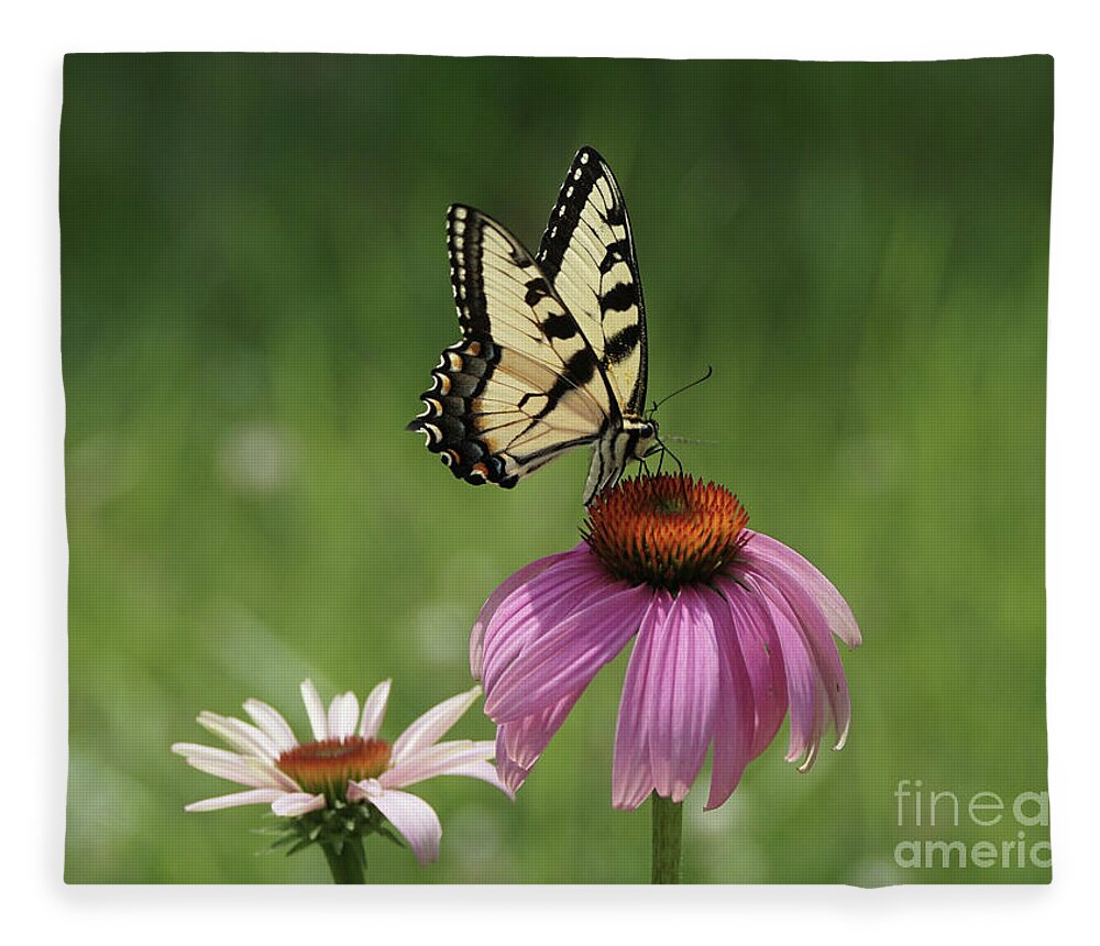 Butterfly Fleece Blanket featuring the photograph Tiger Swallowtail Butterfly and Coneflowers by Robert E Alter Reflections of Infinity