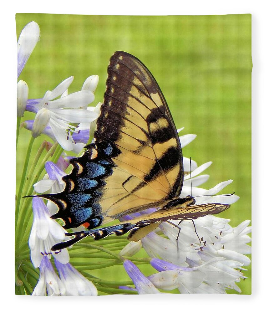 Butterfly Fleece Blanket featuring the photograph Tiger Swallowtail I by Karen Stansberry
