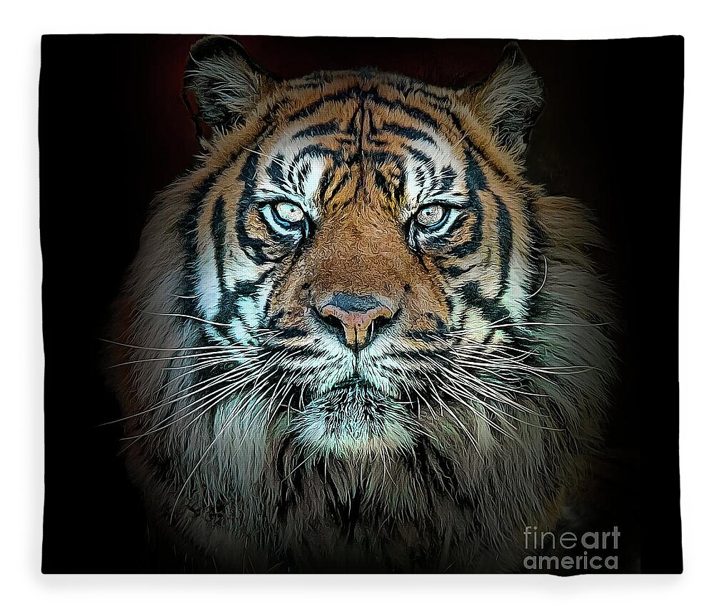 Tiger Fleece Blanket featuring the photograph Tiger, Tiger by Brian Tarr