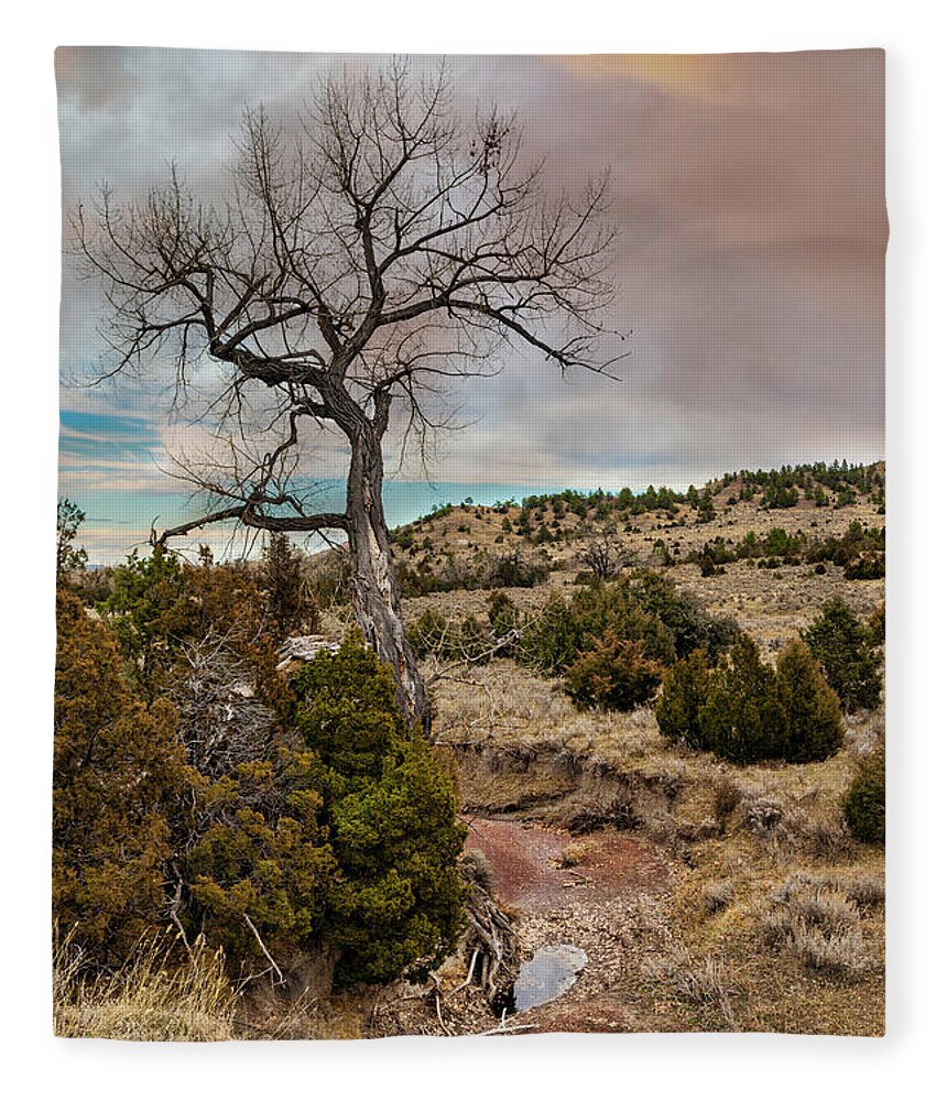 Timber Creek Fleece Blanket featuring the photograph Timber Creek Ranch by Lorraine Baum