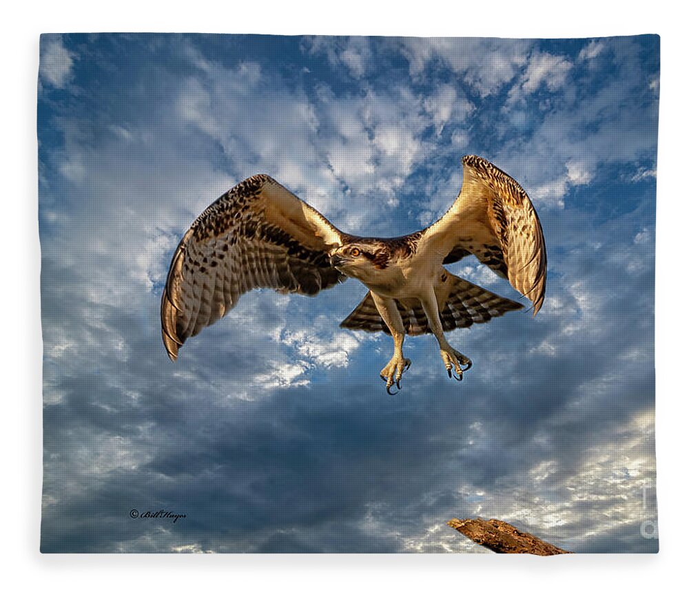 Ospreys Fleece Blanket featuring the photograph Time To Fly TWO by DB Hayes
