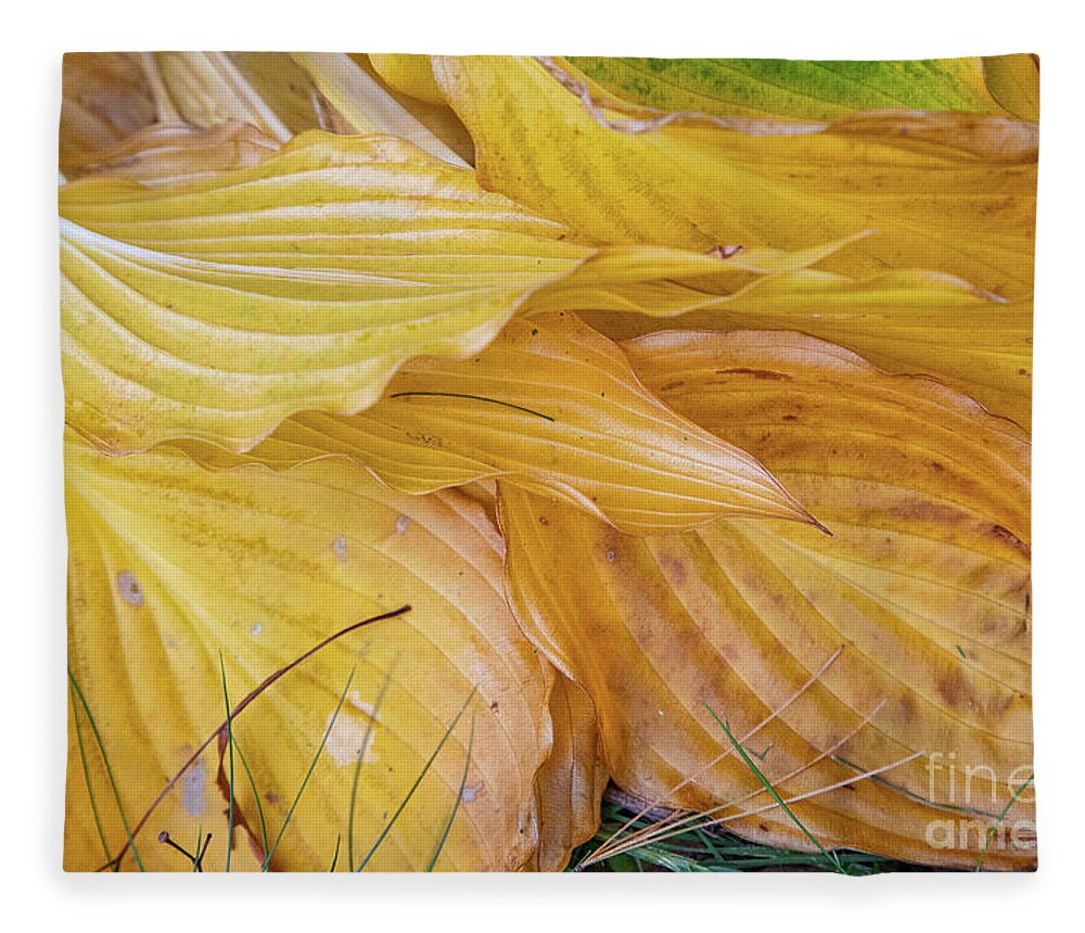 Abstracts Fleece Blanket featuring the photograph Time to Rest by Marilyn Cornwell