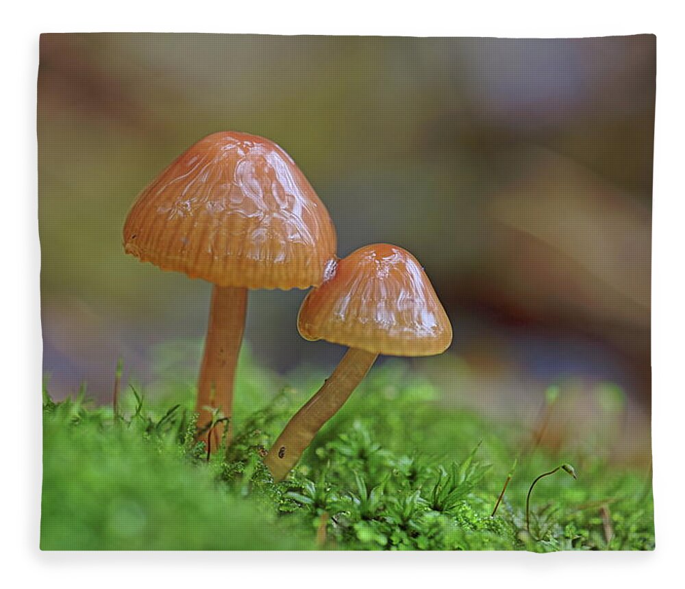 Fungi Fleece Blanket featuring the photograph Tiny Fungi by Daniel Reed